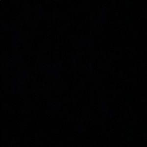 Meet your Posher, Jayla